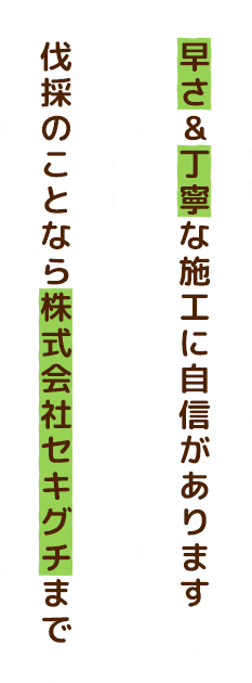 早さ&丁寧な施工に自信があります伐採のことなら株式会社セキグチまで